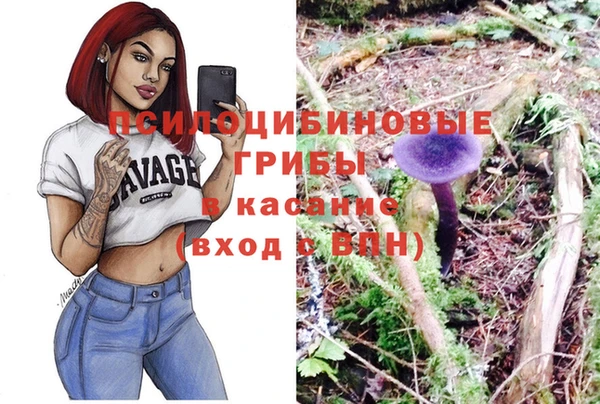 хмурый Алексеевка