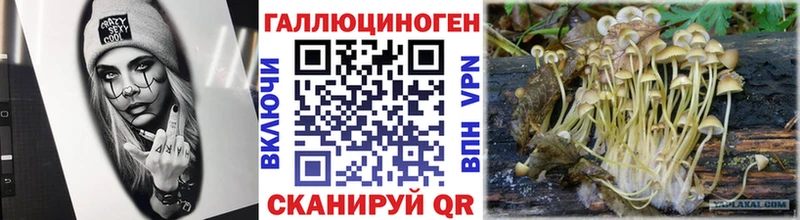kraken зеркало  купить наркотик  Печоры  Псилоцибиновые грибы Psilocybine cubensis 